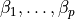 \beta_1, \dots, \beta_p